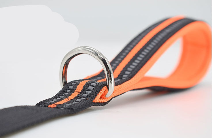 Adjustable Dog Leash