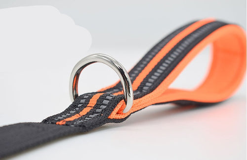 Adjustable Dog Leash