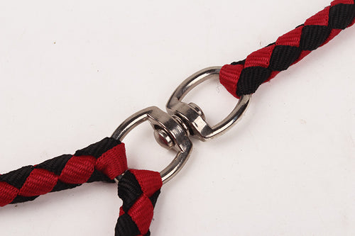 Braided Rope Dog Leash